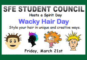 Wacky Hair Day